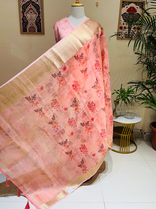 FINE ORGANZA SAREE (PH4447)