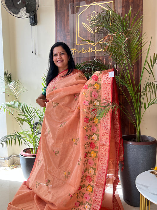 TISSUE DORIYA SAREE (PH4839)