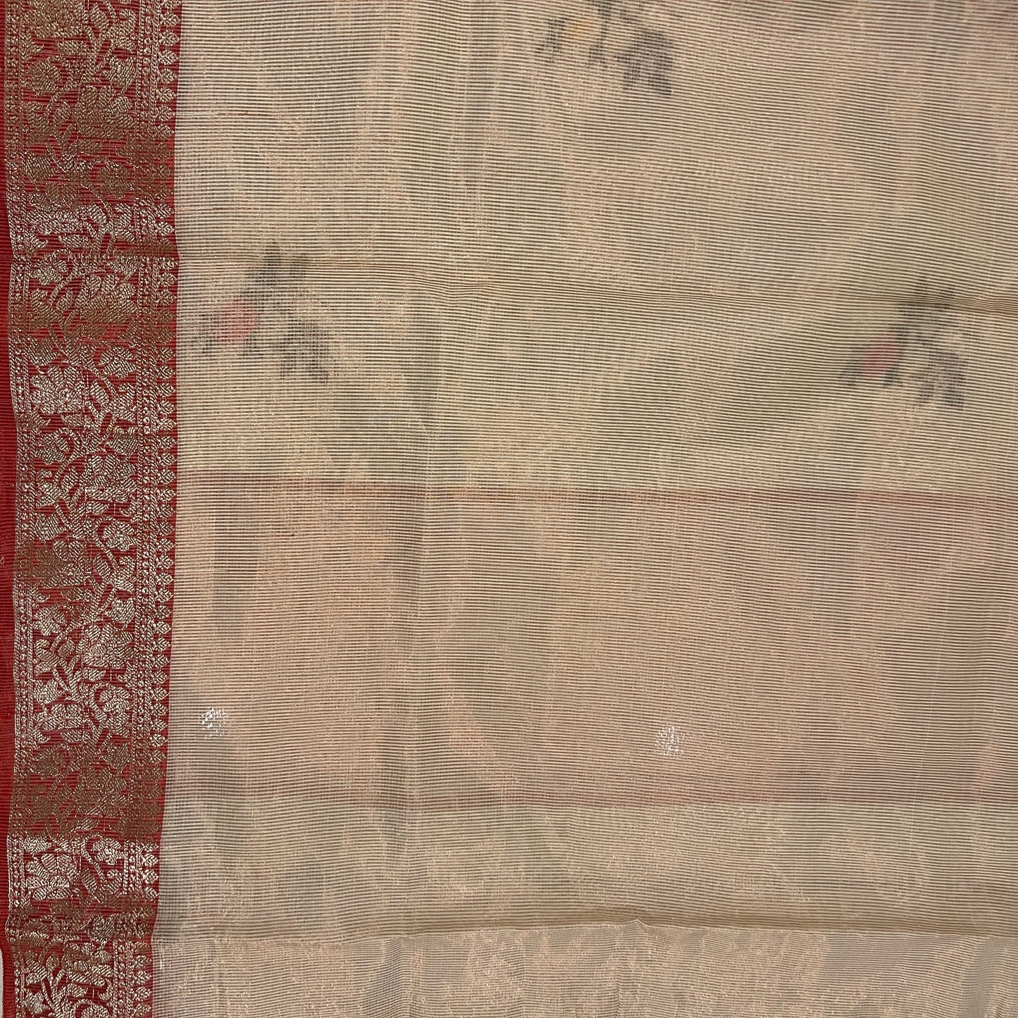 TISSUE DORIYA SAREE (PH4840)